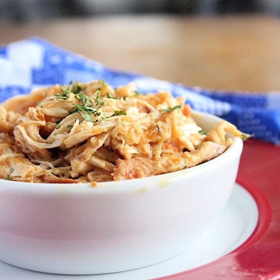 Crock Pot Zesty Italian Chicken - Recipe photo by countertopcooking
