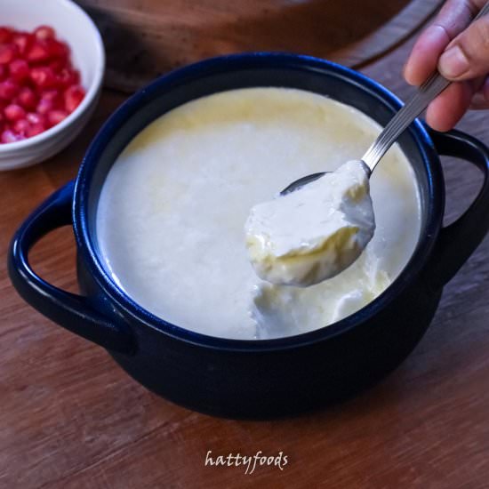 HOW TO MAKE THICK CURD AT HOME - Recipe photo by hattyfoods