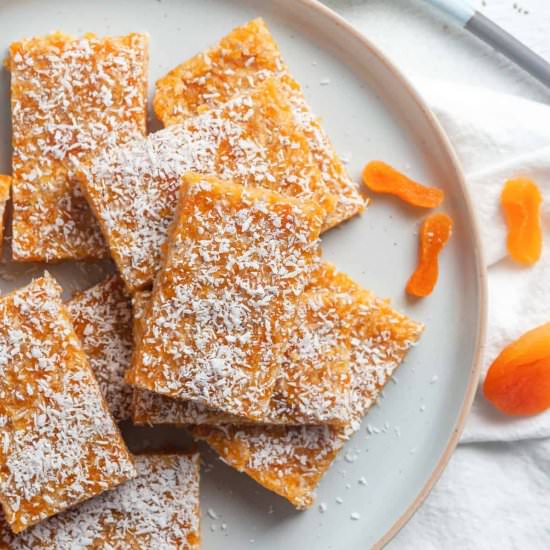 Apricot and Coconut Bars - Recipe photo by itsnotcomplicatedrecipes