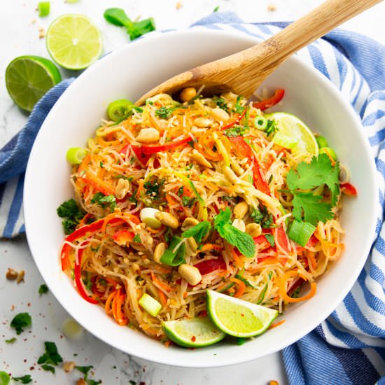 Noodle Salad with Peanut Sauce - Recipe photo by vegan heaven