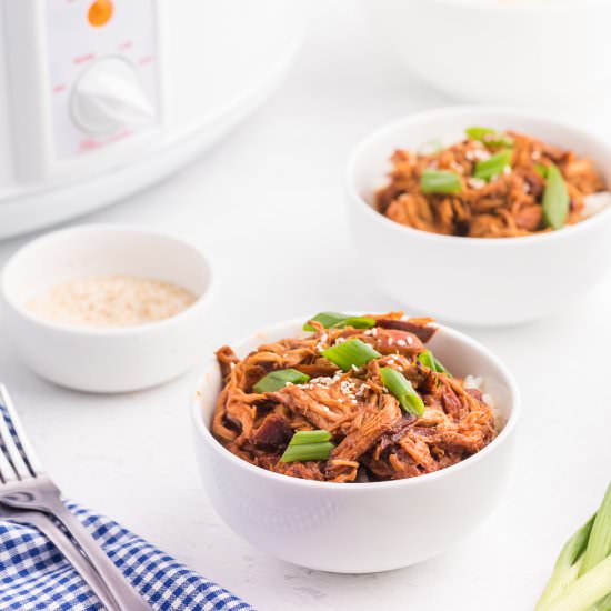 Slow Cooker Asian Chicken - Recipe photo by simplystacie