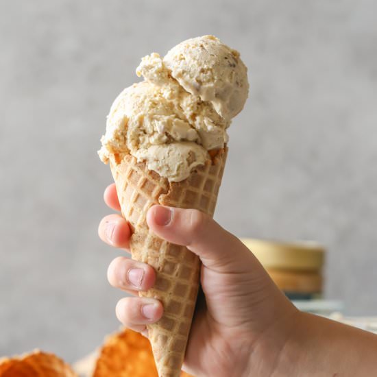Cookie Butter Crisp Ice Cream - Recipe photo by lovelylittlekitchen