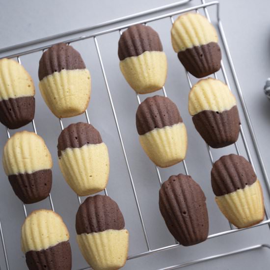 Two-color madeleines - Recipe photo by foodmakesmehappy