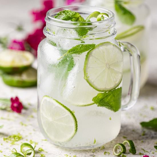Mexican Mule (Tequila Mule) - Recipe photo by bites.with.bri_