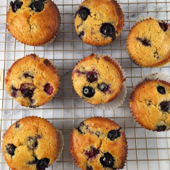 Kodiak Cakes Muffins (Blueberry) - Recipe photo by summeryule.com