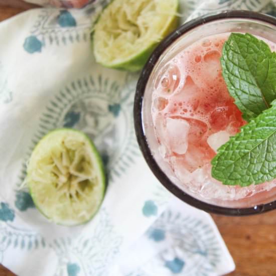 Watermelon Agua Fresca with Mint - Recipe photo by FunnyLoveLindsay