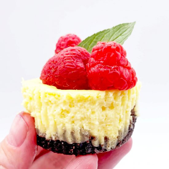 Mini Cheesecakes - Recipe photo by Sinful Kitchen