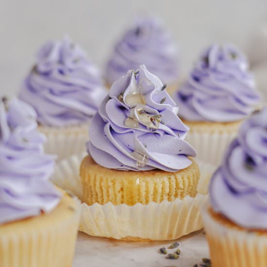 Honey Lavender Cupcakes - Recipe photo by CAKED by Katie