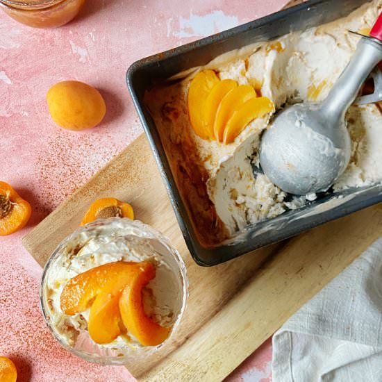 The Best No-Churn Vanilla Ice Cream - Recipe photo by joytothefood