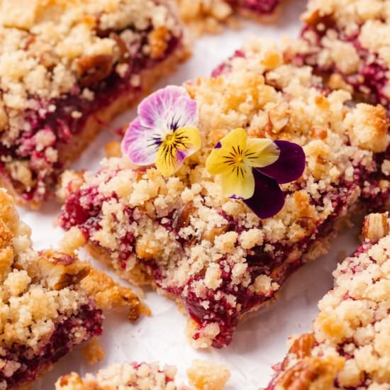 Plum Crumble Bars - Recipe photo by afullliving