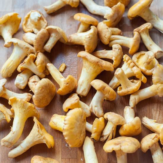 chanterelle mushroom recipes - Recipe photo by everyday-delicious.com