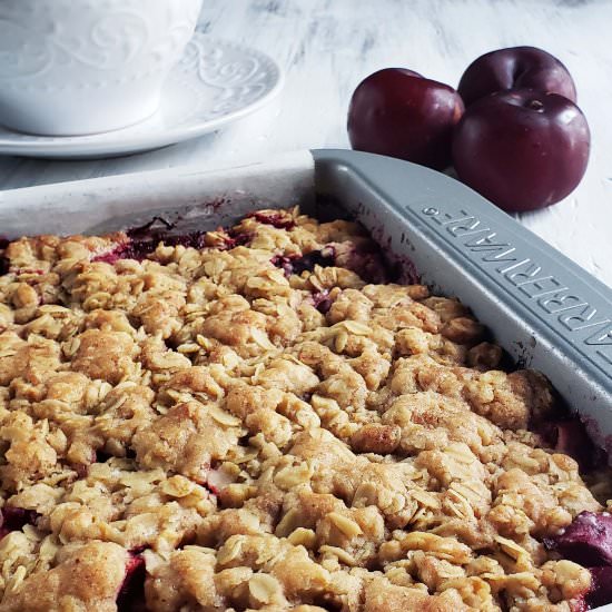 Plum Oatmeal Bars - Recipe photo by RaspberriesAndKohlrabi