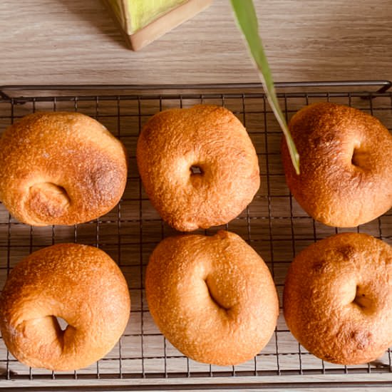 Overnight bagel recipe - Recipe photo by jondough