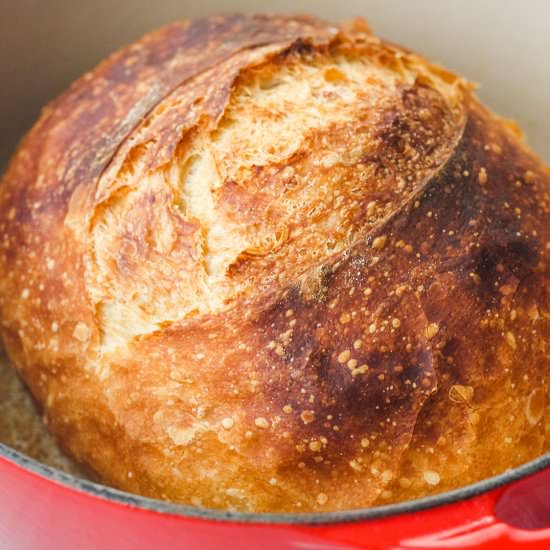 Small No Knead Bread - Recipe photo by toaster oven love