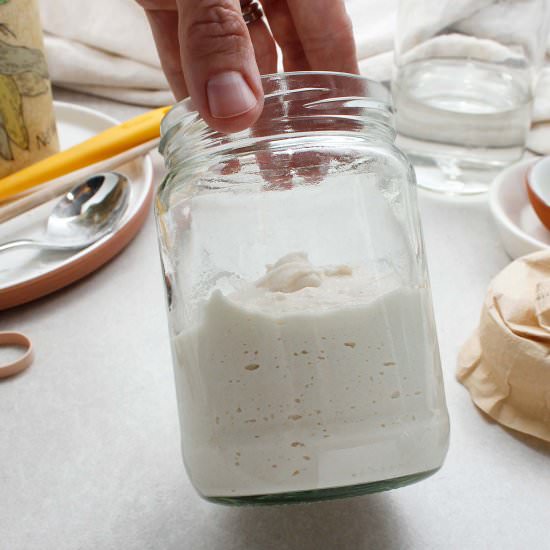Grain-Free Sourdough Starter - Recipe photo by fresh is real