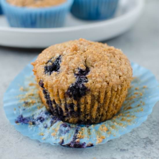 Blueberry Bran Muffins - Recipe photo by fakeginger