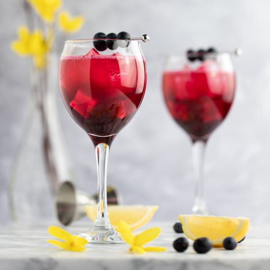 Blueberry Gin Cocktail - Recipe photo by The Littlest Crumb