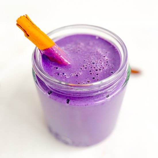 Vegan Blueberry Protein Smoothie - Recipe photo by Revelinplants
