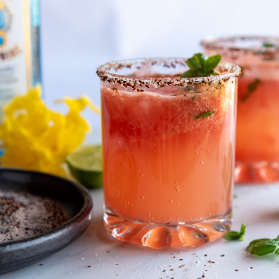 Watermelon Basil Gin Fizz - Recipe photo by nutsfornaan