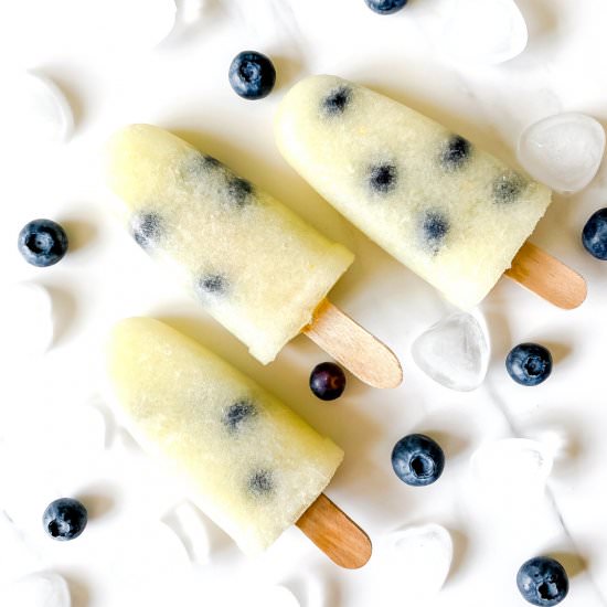Melon popsicles with blueberries - Recipe photo by Low Histamine Kitchen
