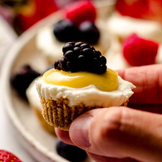 no bake cheesecake bites - Recipe photo by freshaprilflours