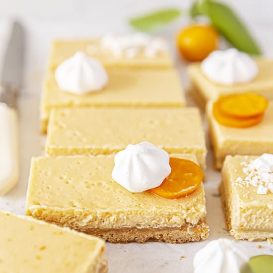 Creamy Calamansi Bars - Recipe photo by spicyicecream