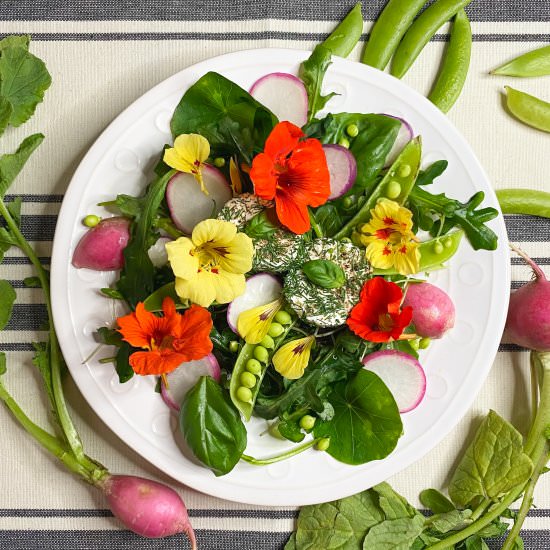 Edible Flower Salad - Recipe photo by thirstyradish