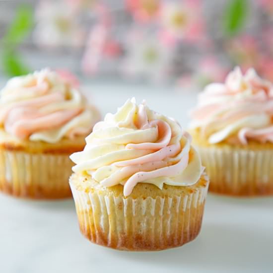 Gluten-Free Vanilla Cupcakes - Recipe photo by ScienceandCrumbs