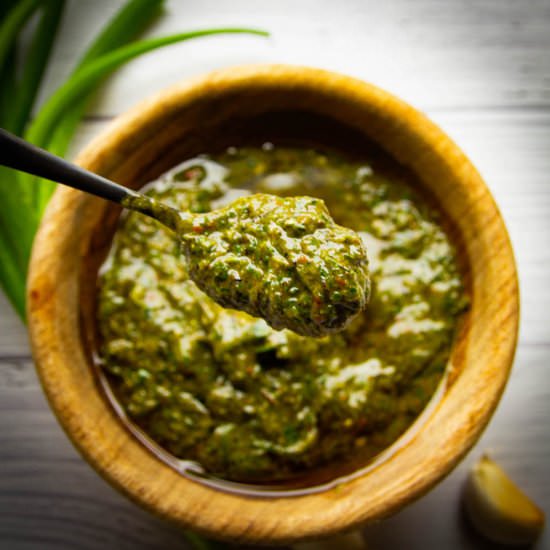 Charred Green Onion Chimichurri - Recipe photo by Devancameron