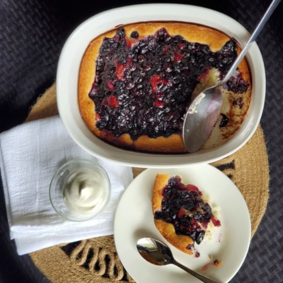 Old Fashioned Blueberry Cobbler - Recipe photo by FickleHobbyist