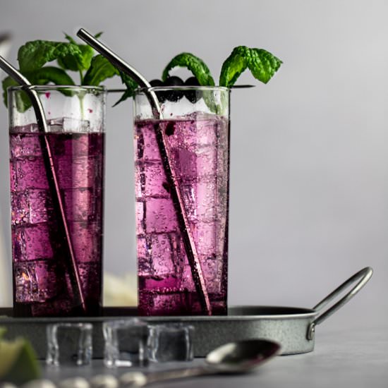 Blueberry Mojitos - Recipe photo by The Littlest Crumb