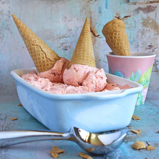 No Churn Rhubarb Ice Cream - Recipe photo by glutenfreealchemist