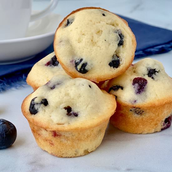 Mini Blueberry Muffins - Recipe photo by theshortordercook