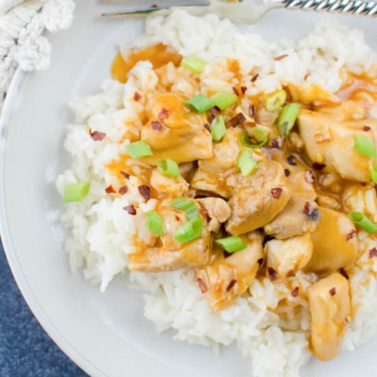 Instant Pot Orange Chicken - Recipe photo by fakeginger