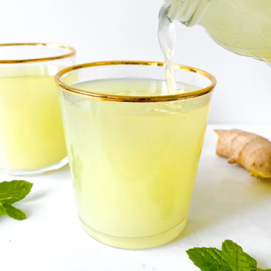 Ginger beer (yeast free) - Recipe photo by Low Histamine Kitchen