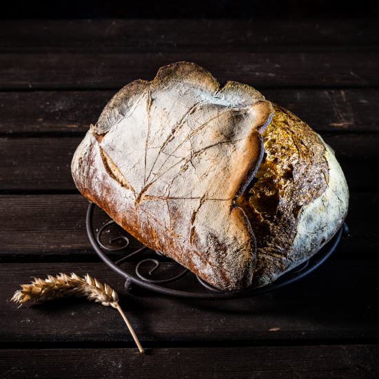 La Tabatière du Jura - Recipe photo by denisav