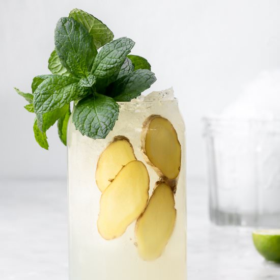 mexican mule cocktail - Recipe photo by withspice