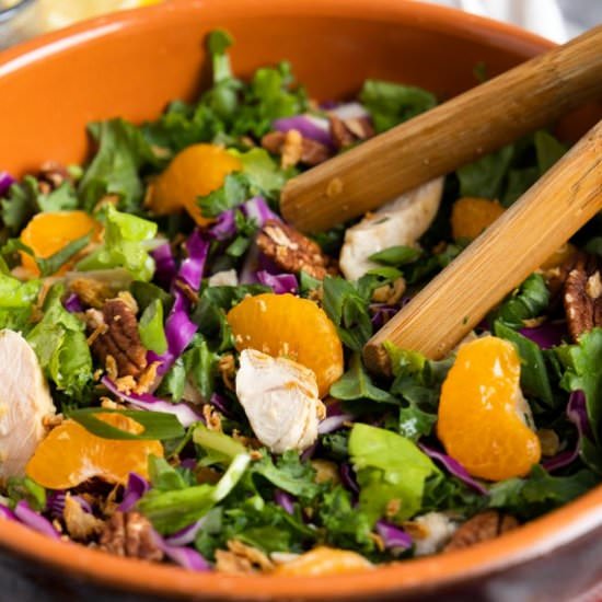 Mandarin Chicken Salad - Recipe photo by noshingwiththenolands