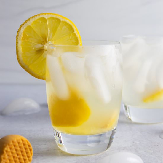Simple Lemon Ginger Spritzer - Recipe photo by HurriedHealthNut