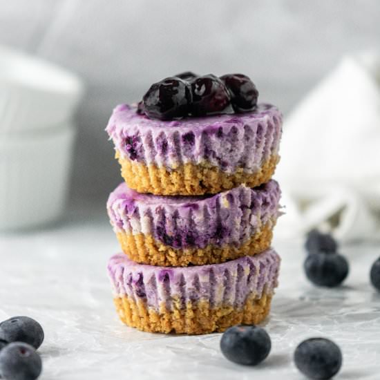 Blueberry Mini Cheesecakes - Recipe photo by gingersnapsbakingaffairs