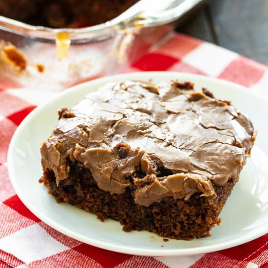 Classic Coca Cola Cake - Recipe photo by spicysouthernkitchen