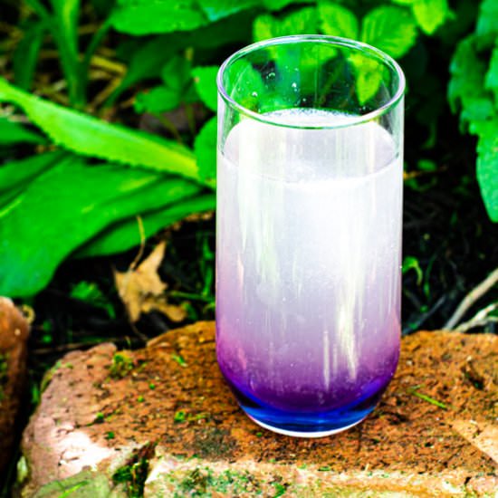 Butterfly Pea Flower Lemonade - Recipe photo by thelibrarykitchen