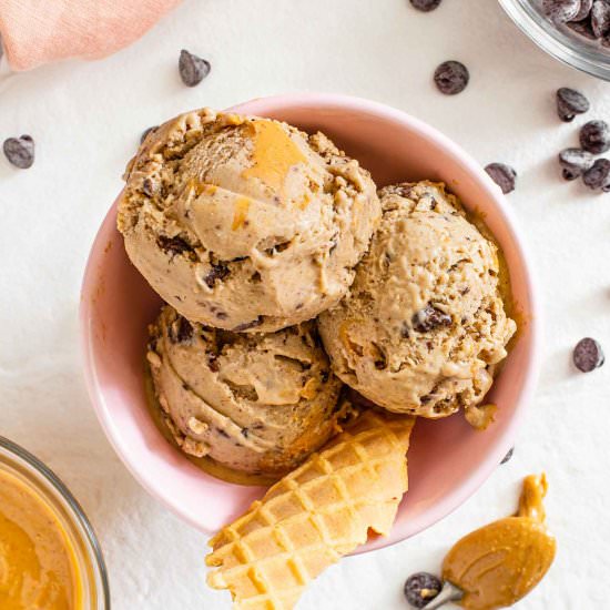Easy Peanut Butter Nice Cream - Recipe photo by tastythriftytimely