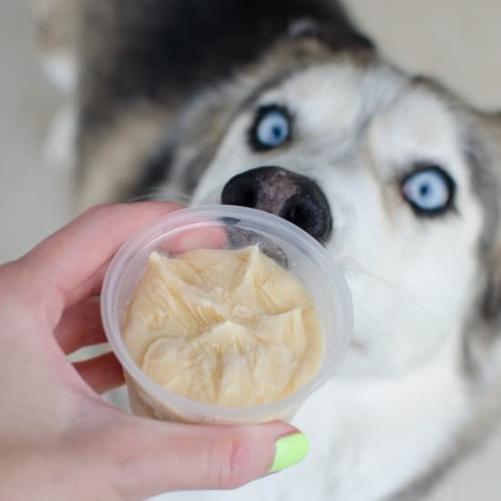 Pumpkin Peanut Butter Dog Ice Cream - Recipe photo by fakeginger