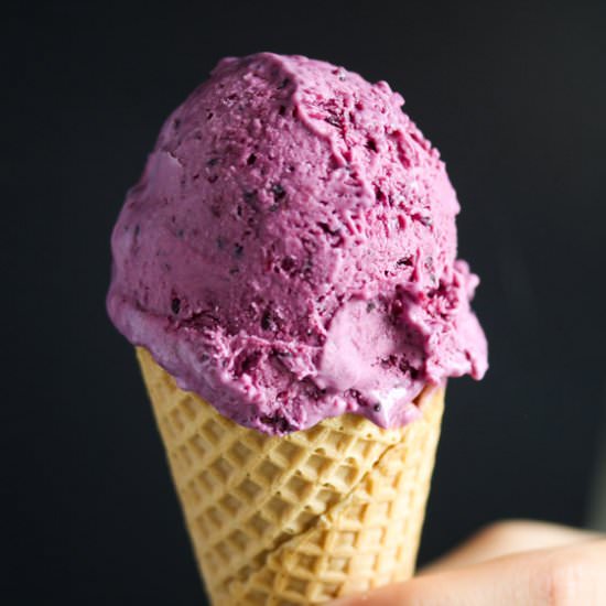 Black Currant Ice Cream - Recipe photo by adinutza