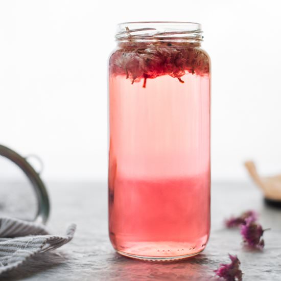 DIY Chive Blossom Infused Vinegar - Recipe photo by BEET OF THE WILD