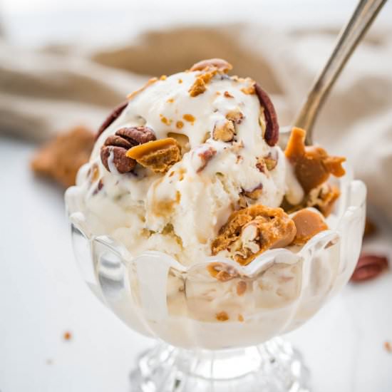 Bourbon Pralines and Cream Ice Crea - Recipe photo by garlic and zest