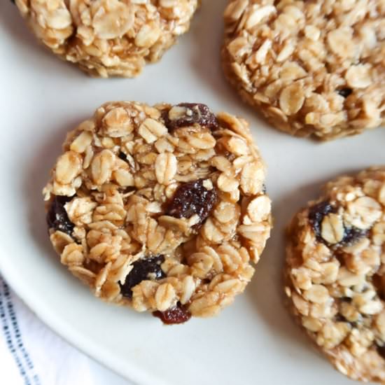 Vegan No-Bake Breakfast Cookies - Recipe photo by StaceyLives