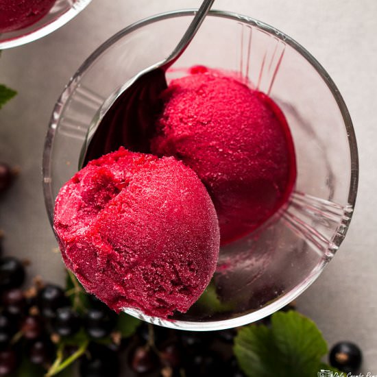 Blackcurrant sorbet - Recipe photo by Recipe Crumbs