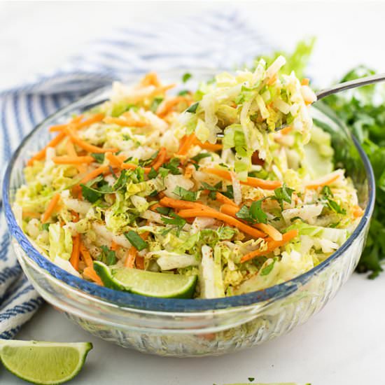 Jicama Slaw - Recipe photo by thegraciouswife
